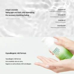 Green Tea Calming Essence Cream Origin