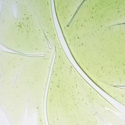 Herbalism Shampoo