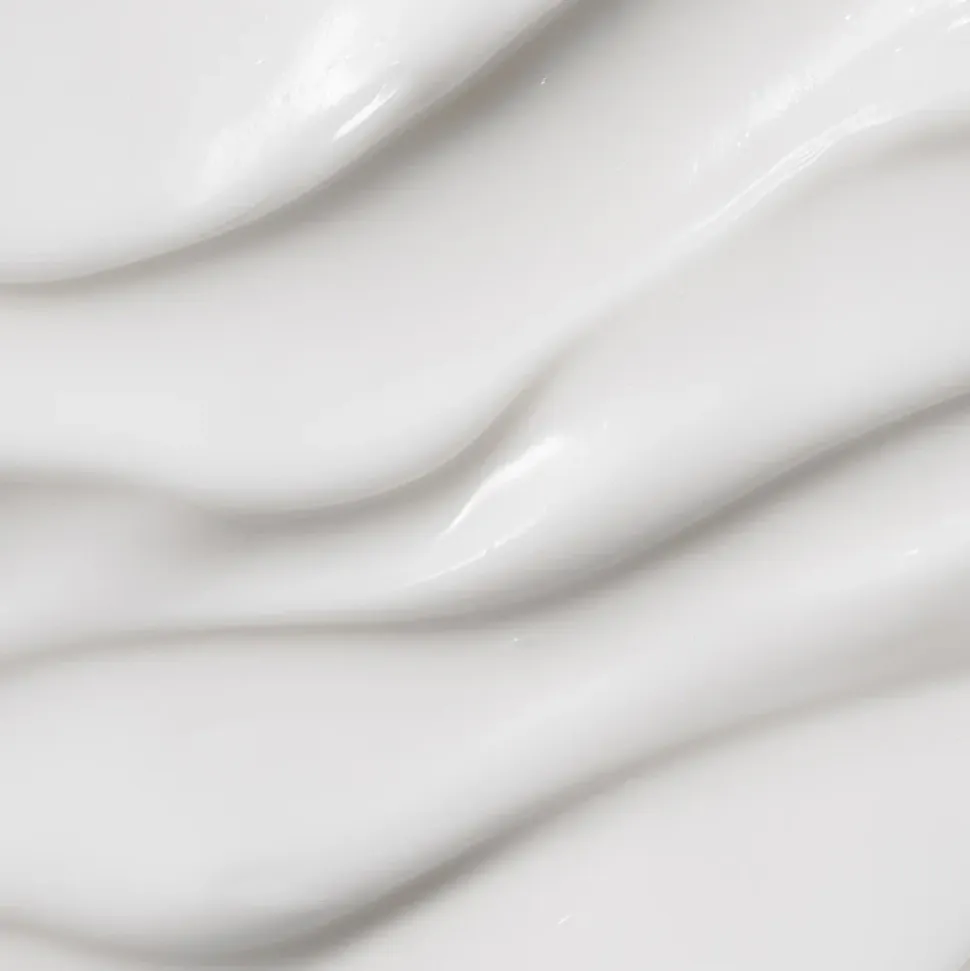 Moringa Ceramide Hyaluronic Hydrating Cream