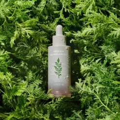 Time Revolution Artemisia Ampoule